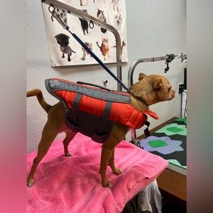 Outward Hound Red Dog Life Jacket
